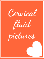 Cervical fluid pictures